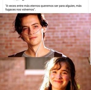 Meet your Posher, Carmen